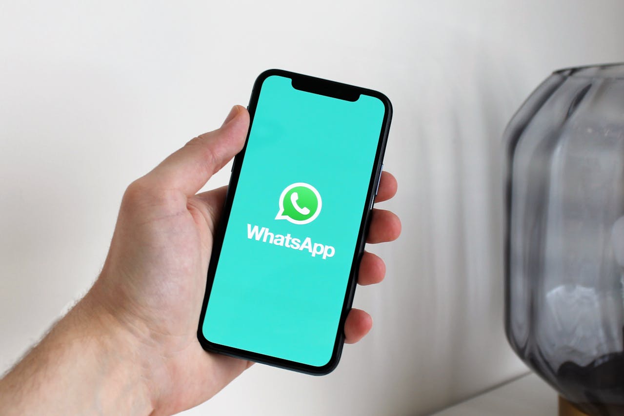 Vender por WhatsApp en 2024: Tu amigable guía y estrategias efectivas